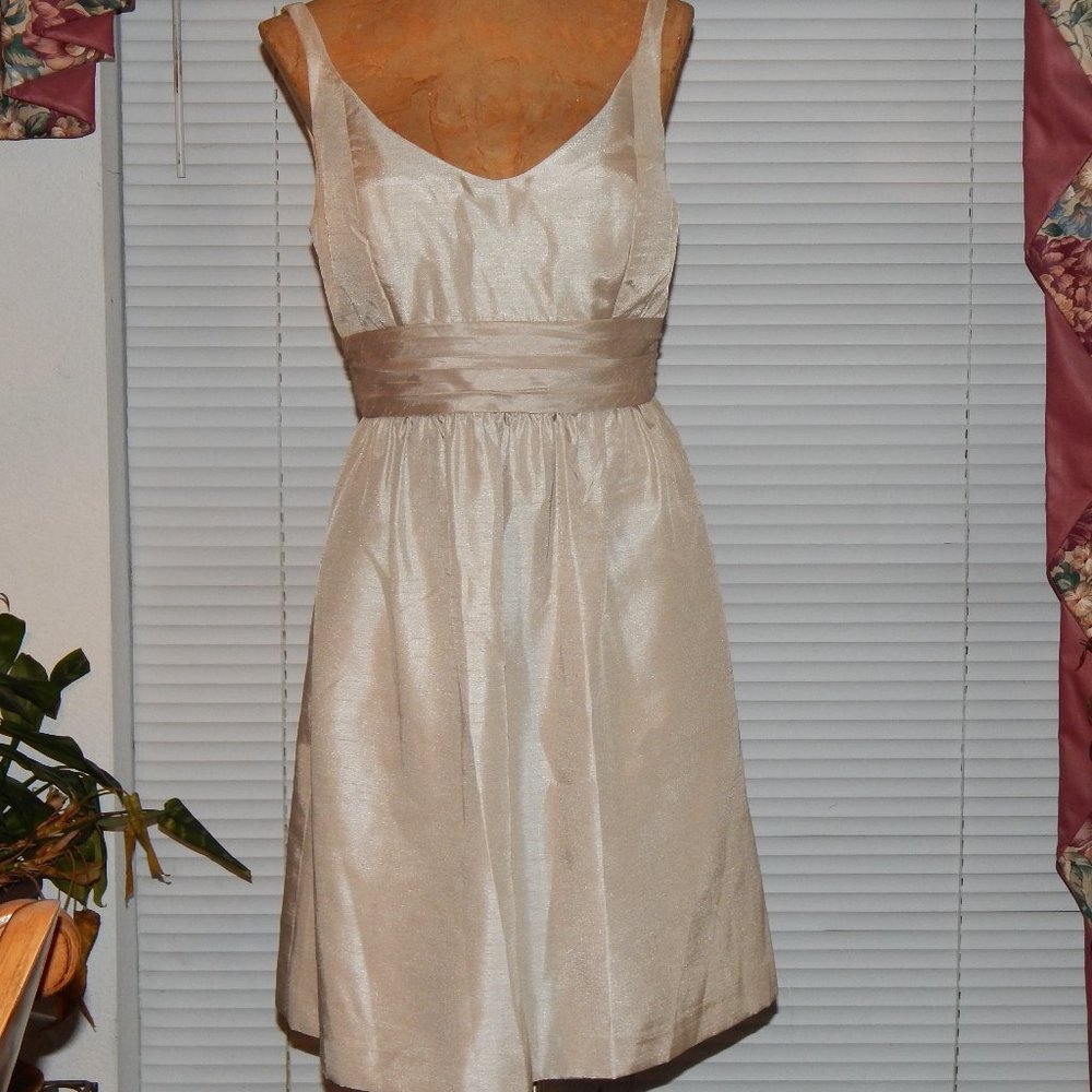 $232 JENNY YOO Tawny Fiona Bridesmaid Prom Dress S
